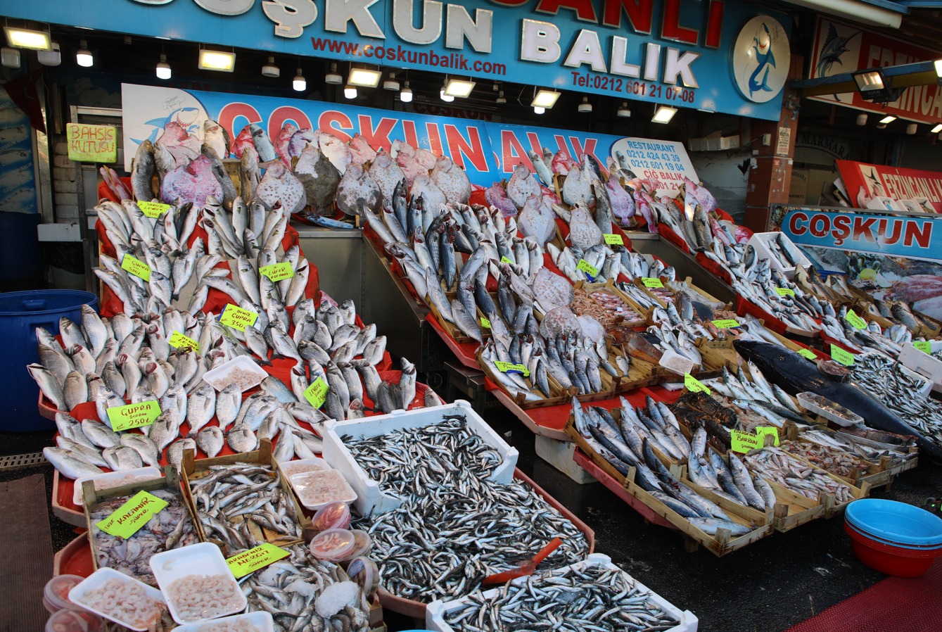 Erzincanlı Coşkun Balık günlük taze balık çeşitleri